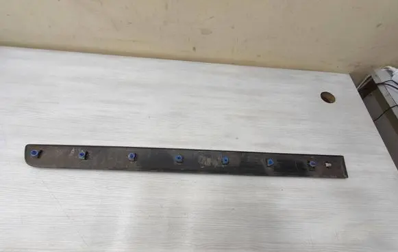 Renault Kangoo II Front door trim (molding) 808202733R