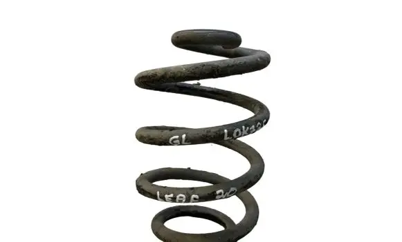 Nissan Leaf II (ZE1) Rear coil spring