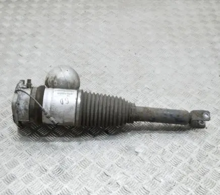 Volkswagen Phaeton Rear shock absorber/damper 3D0616002J