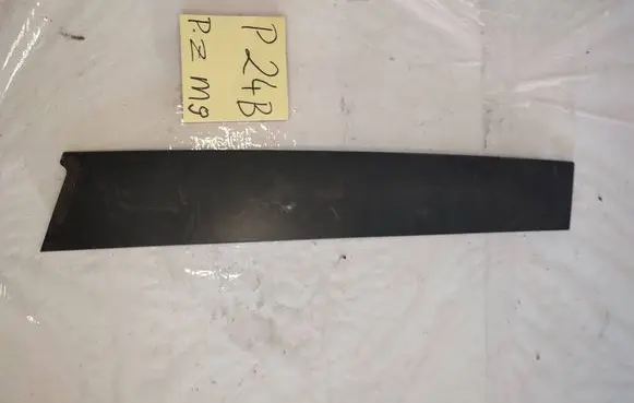 Opel Vectra C Rear door trim (molding) 2002893