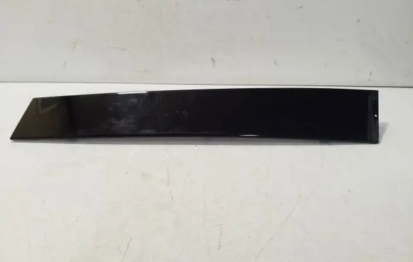 Other rear door trim element