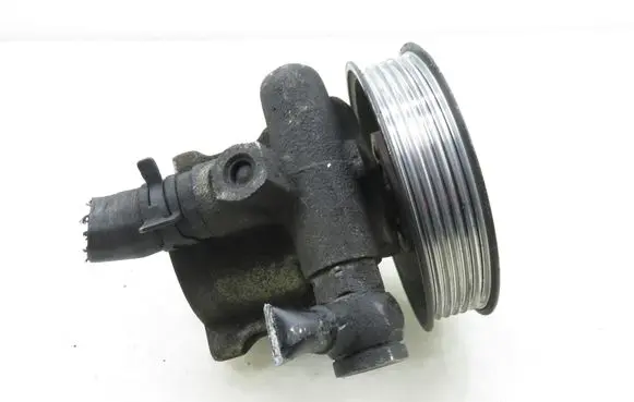 Volkswagen Golf IV Power steering pump 26066368 1J0422154D