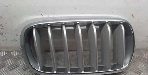 BMW X5 F15 Front bumper upper radiator grill 7303108