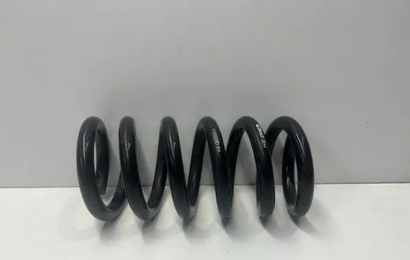 Ford Mustang VI Rear coil spring 113502901RA