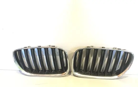 BMW X5 E53 Front grill 7124815 51137124815 10627110