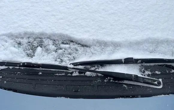 Fiat Idea Front wiper blade arm 