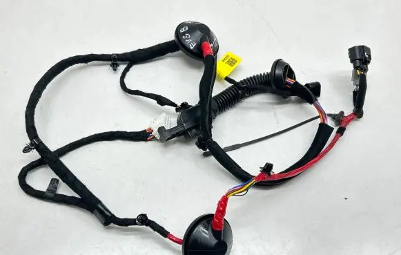 KIA EV6 Rear door wiring loom 91630CV280A 919823S000