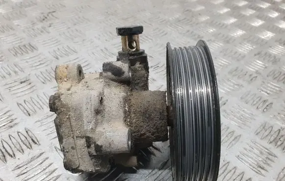 Volkswagen Sharan Power steering pump