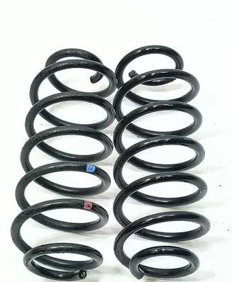 Rear coil spring