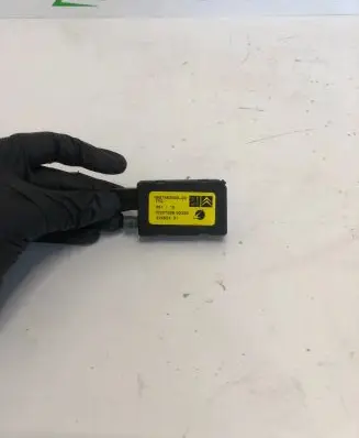 Citroen C4 II Picasso Aerial antenna amplifier 9807982580 10307088 22492X01