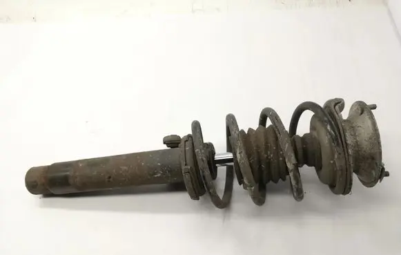 BMW X1 E84 Front shock absorber/damper 6789853