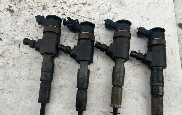 Citroen C3 Fuel injectors set 0445110252 56588