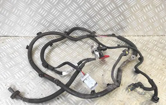 Peugeot 208 II Positive cable (battery) 9841129080