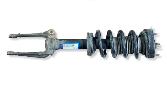 Dodge Charger Front shock absorber with coil spring P68224774AC