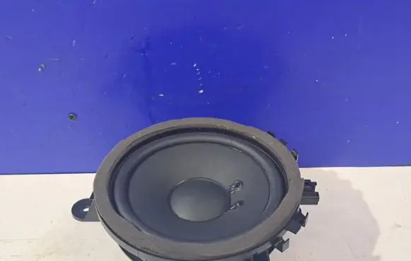 Front door speaker