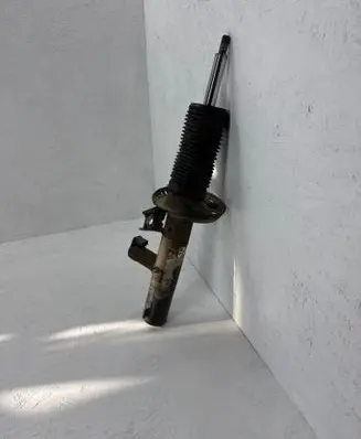 Front shock absorber/damper
