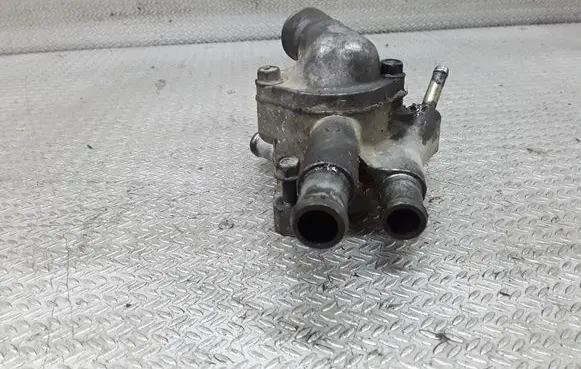 Thermostat/thermostat housing