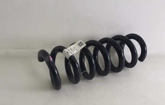 Ford Mustang Mach-E Rear coil spring LJ9C5560BNF