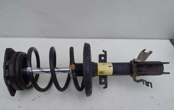 Renault Scenic III - Grand scenic III Front wheel hub spindle knuckle