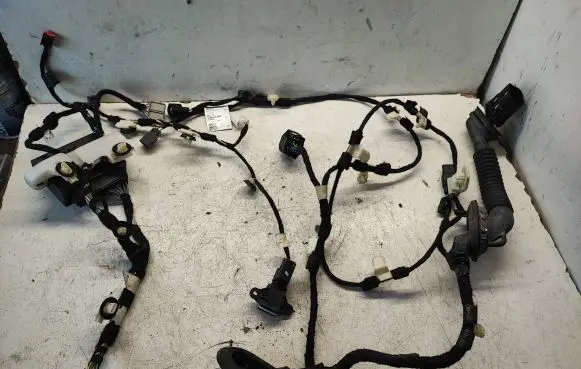 Ford Mustang VI Front door wiring loom DG9T14B531 14631DE