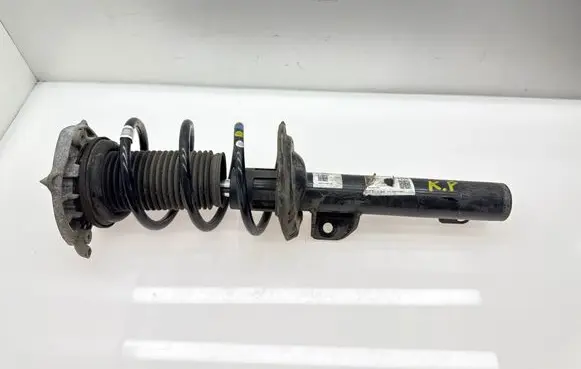 Volkswagen ID.4 Front shock absorber/damper 1EA412021BP