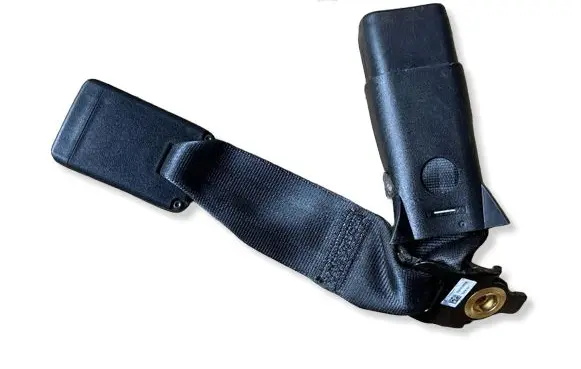Dodge Charger Rear seatbelt buckle 6KE761X9AA