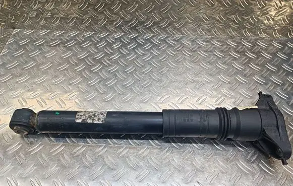 Citroen C4 III e-C4 Rear shock absorber/damper 96841379480