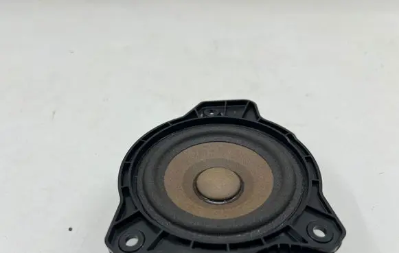 Polestar 2 Panel speaker 31456871