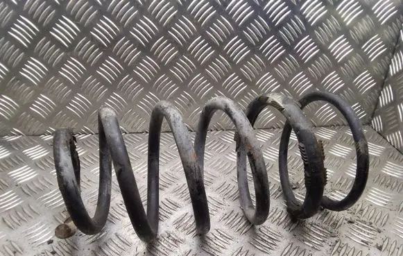 Front coil spring