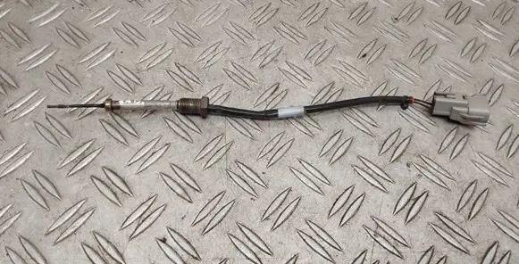 Exhaust gas temperature sensor