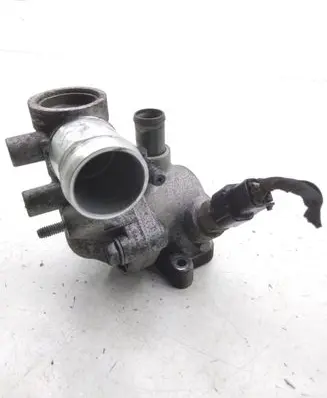Thermostat/thermostat housing