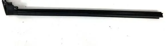 Ford Mustang VII Front door glass trim molding PR3BC21434AD