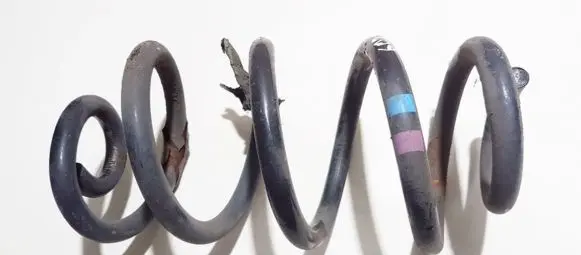 Nissan Qashqai+2 Rear coil spring