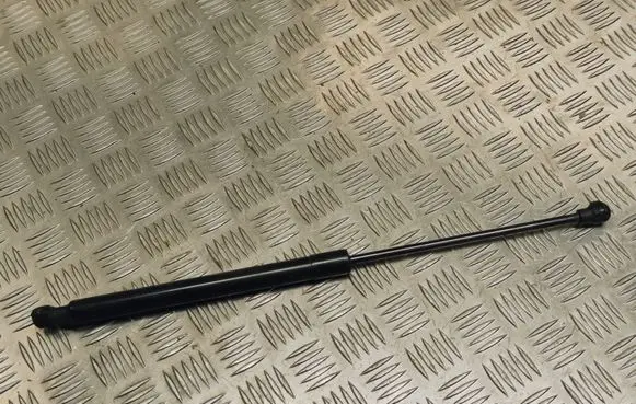 Dacia Sandero Tailgate/trunk strut/damper 904529943R