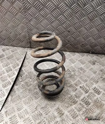 Rear coil spring
