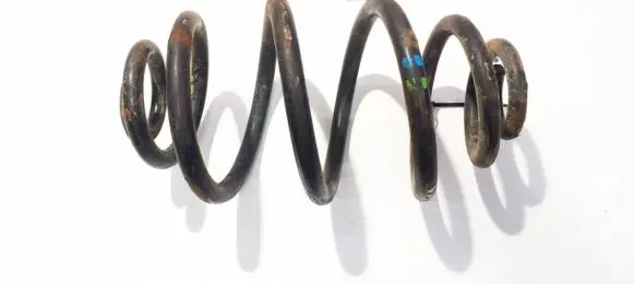 Volkswagen PASSAT B5.5 Rear coil spring