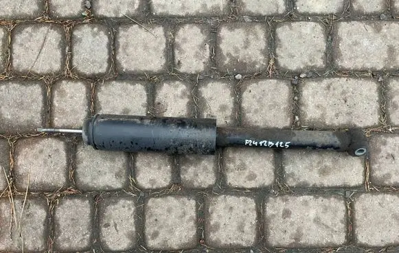 Fiat Bravo Rear shock absorber/damper F2412B125 F2412B124
