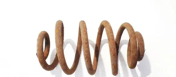Opel Vectra C Rear coil spring