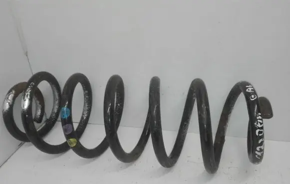 Volkswagen PASSAT B6 Rear coil spring