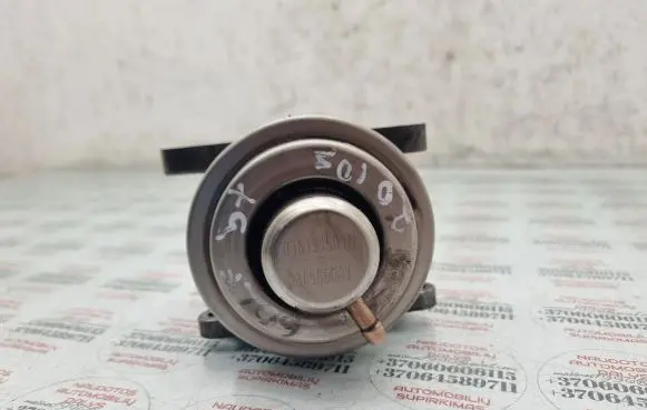 Volkswagen Golf Plus EGR valve 038131501AF