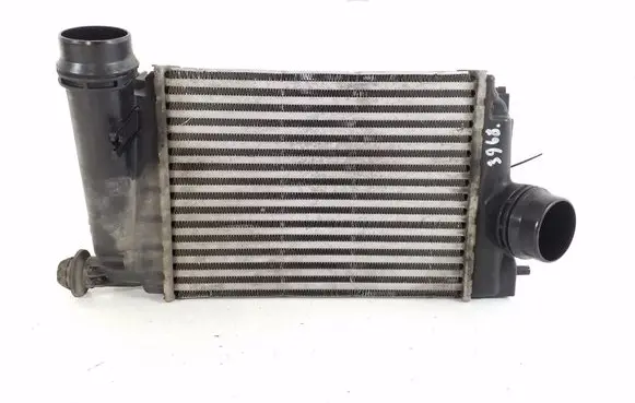 Renault Kadjar Intercooler radiator 144614EA1A