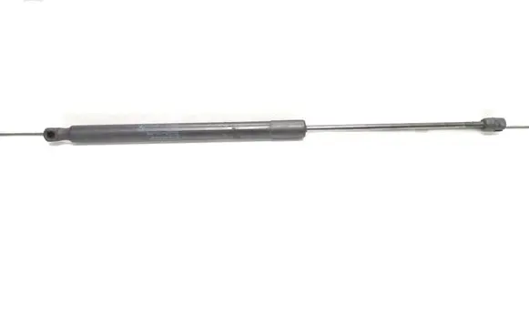 Tailgate/trunk strut/damper