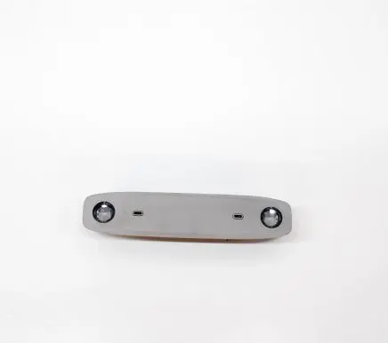 Tesla Model 3 Front seat light 109257400C