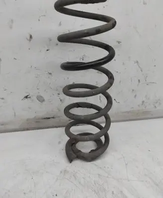 Rear coil spring