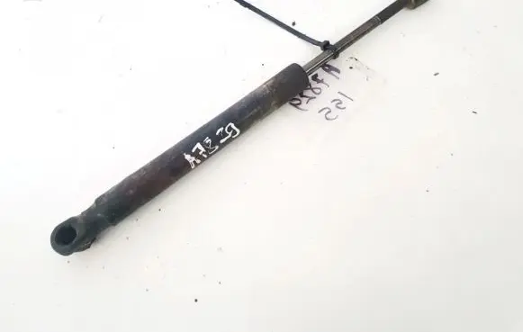 Tailgate/trunk strut/damper