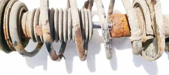 Front coil spring
