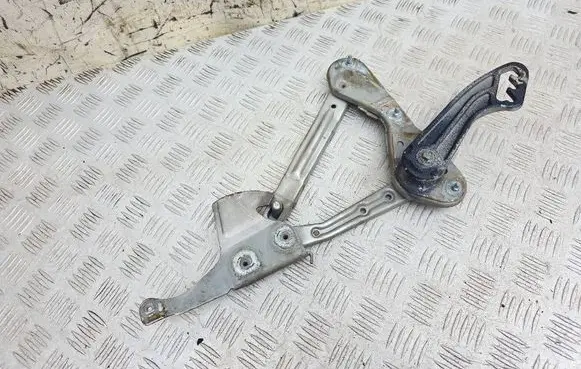 Mercedes-Benz CL C140 Engine bonnet/hood hinges 1298800228 1298870274
