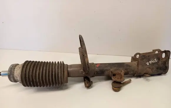 Chrysler Pacifica Front shock absorber/damper 