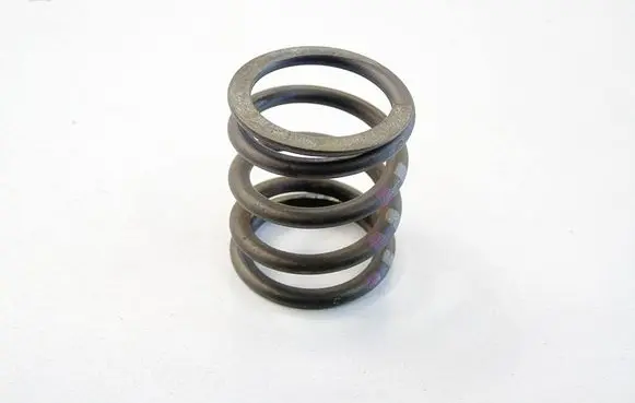 Seat Altea Valve spring BXESZGSMS14260424