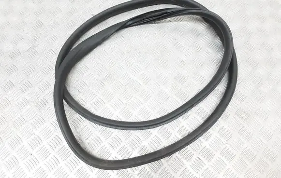 Volvo S60 Rubber seal rear door 31434308
